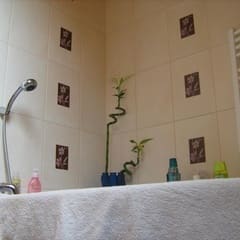 zalety domów z drewna Zodan
